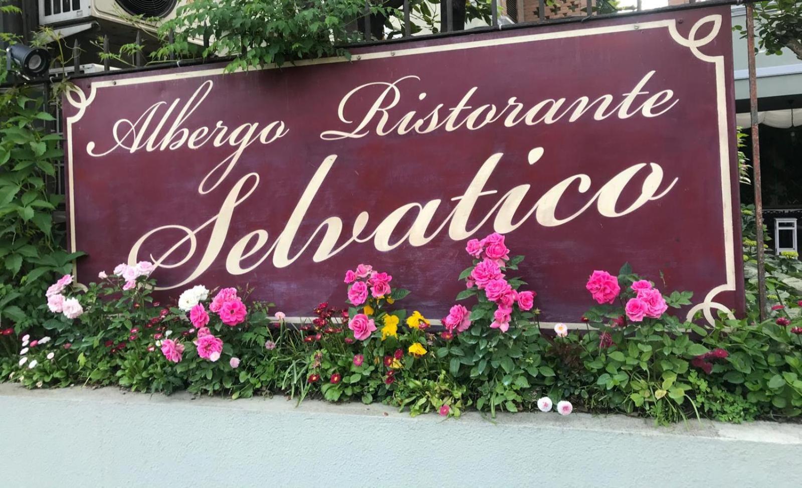 Albergo & Ristorante Selvatico Rivanazzano Terme Luaran gambar