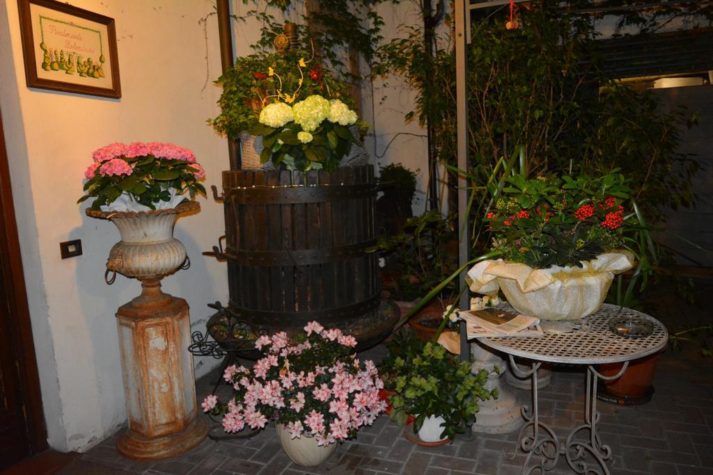 Albergo & Ristorante Selvatico Rivanazzano Terme Luaran gambar