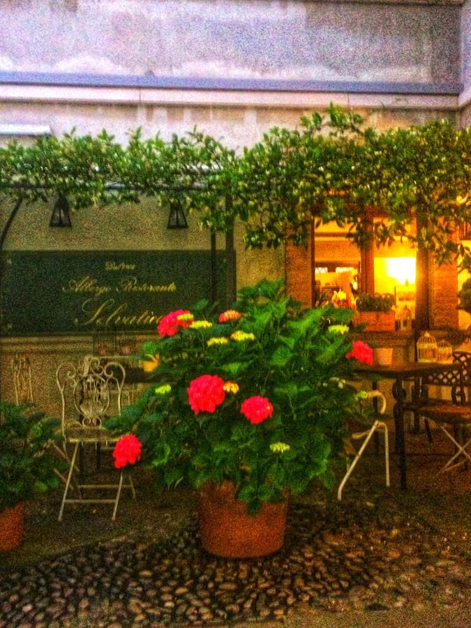 Albergo & Ristorante Selvatico Rivanazzano Terme Luaran gambar